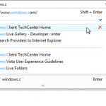 Windows 7 - Internet Explorer 8 - Address Bar